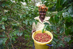 Kenya Spikes Kiambu.