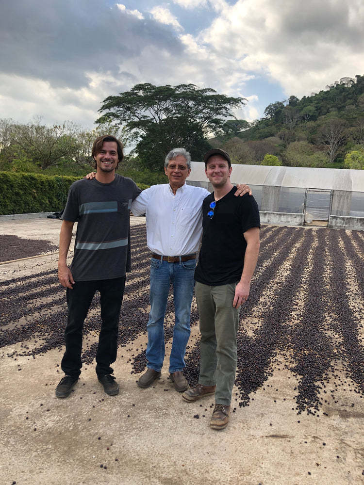 Costa Rica Hacienda Sonora